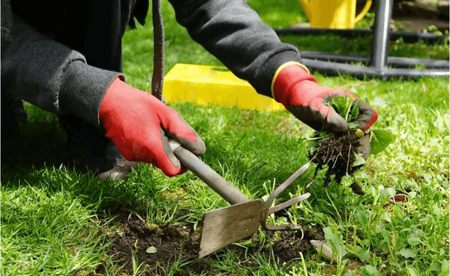 1hr Commercial Property Maintenance Visit